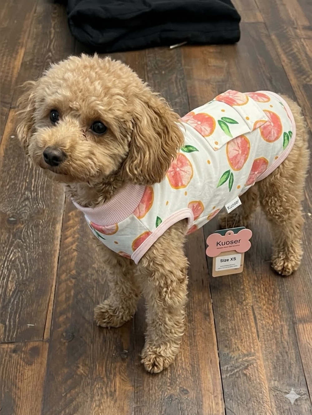 Kuoser Citrus Grapefruit Print Dog Cat Surgical Recovery Suit Onesie NWT XS 🐕 🐈